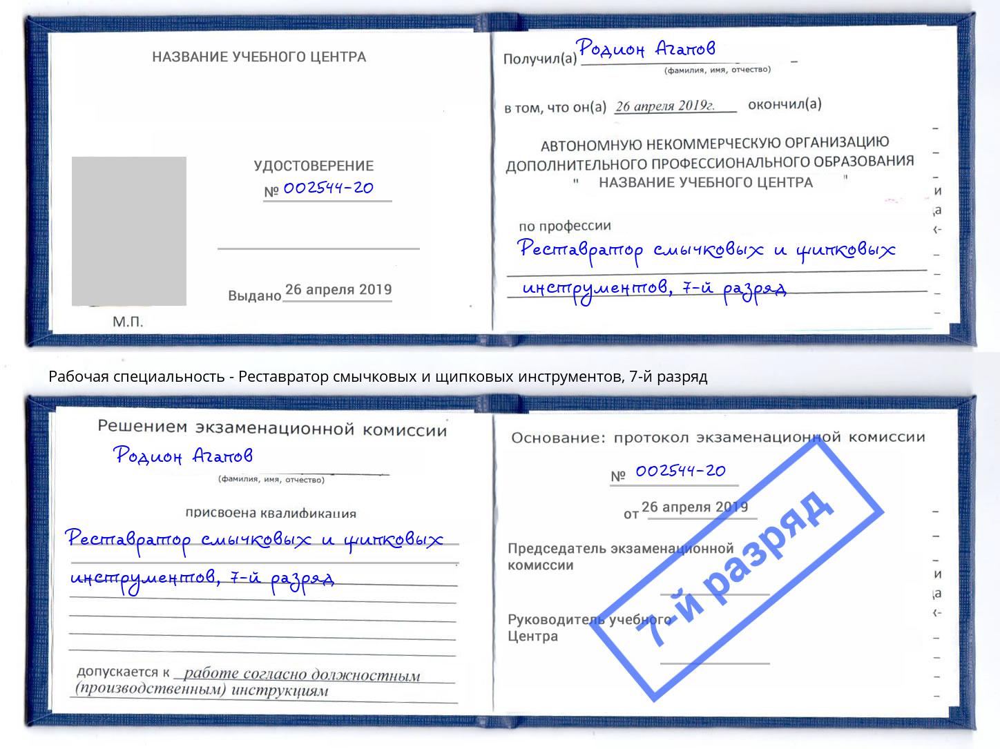 корочка 7-й разряд Реставратор смычковых и щипковых инструментов Светлоград