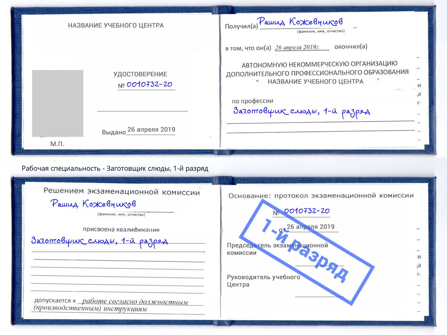 корочка 1-й разряд Заготовщик слюды Светлоград